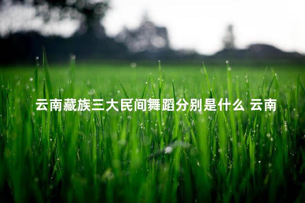 云南藏族三大民间舞蹈分别是什么 云南藏族在哪里